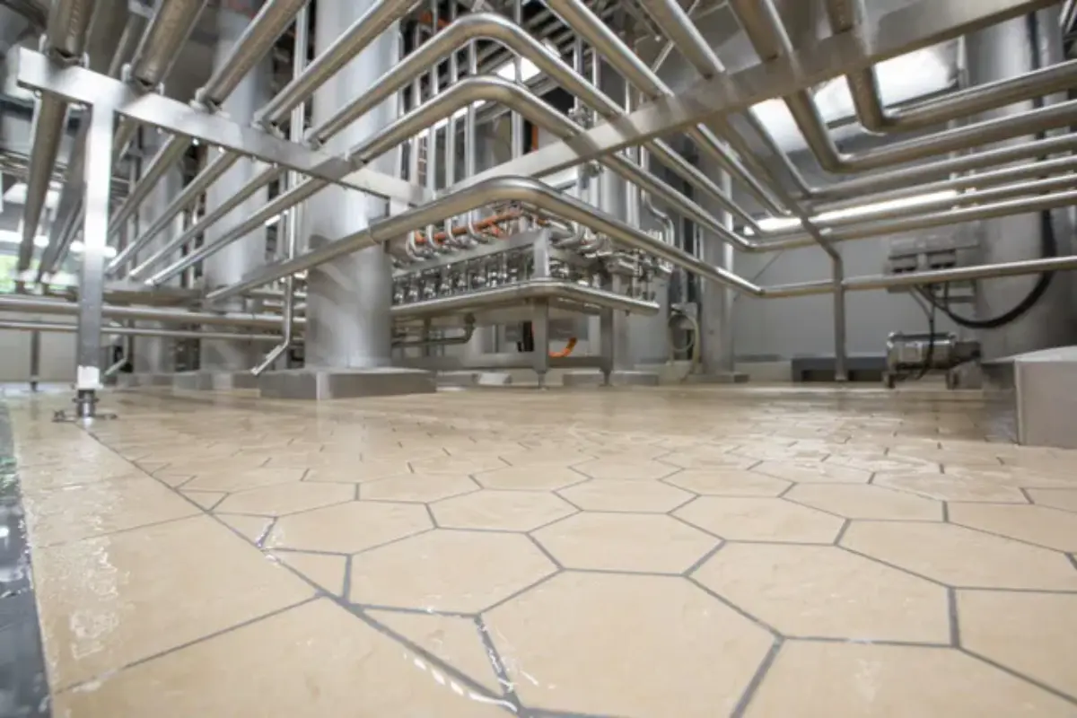 519893537_Full Body Porcelain Tiles24.webp
